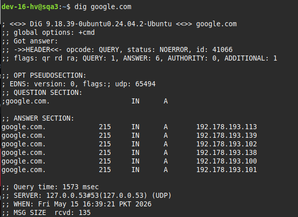 Manual Check DNS on Linux Mac